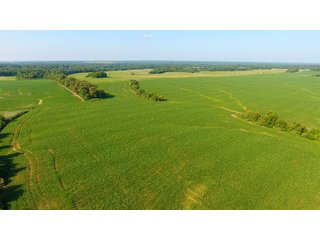 TRACT 20 - ILLINOIS LAND AUCTION - 4,810+/- ACRES OFFERED IN 85 TRACTS IN FRANKLIN, WILLIAMSON, HAMILTON & SALINE COUNTIES, ILLINOIS